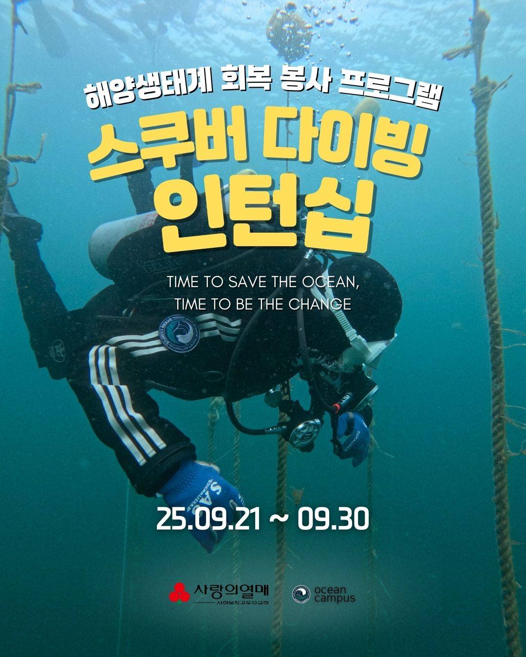 영덕, 울진 스쿠버다이빙 인턴십 참가자 모집-썸네일-0