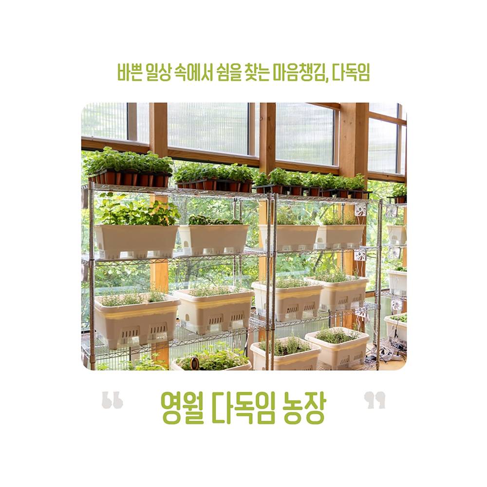 강원도 영월 농촌관광 체험단 팜트래블러 3기-썸네일-0