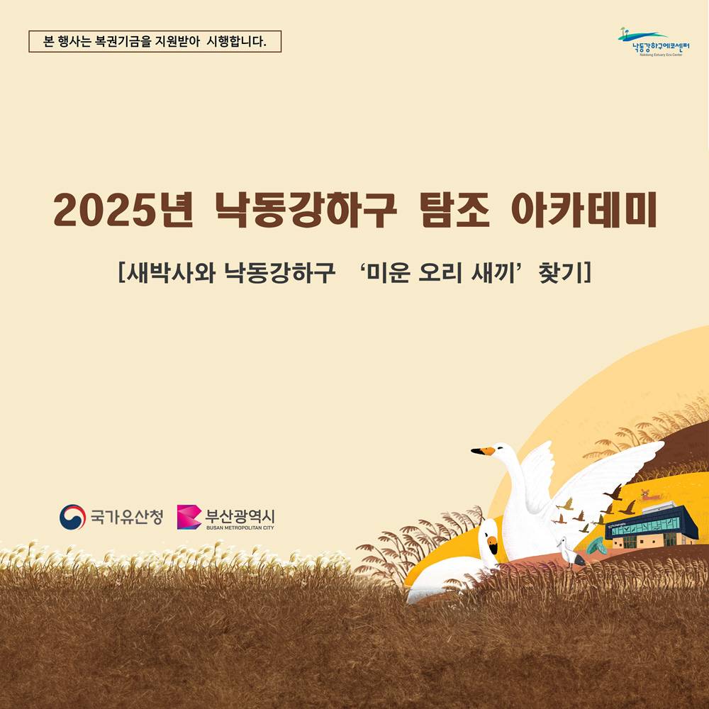 2025 부산 낙동강하구 탐조 : 미운오리새끼 찾기-썸네일-0