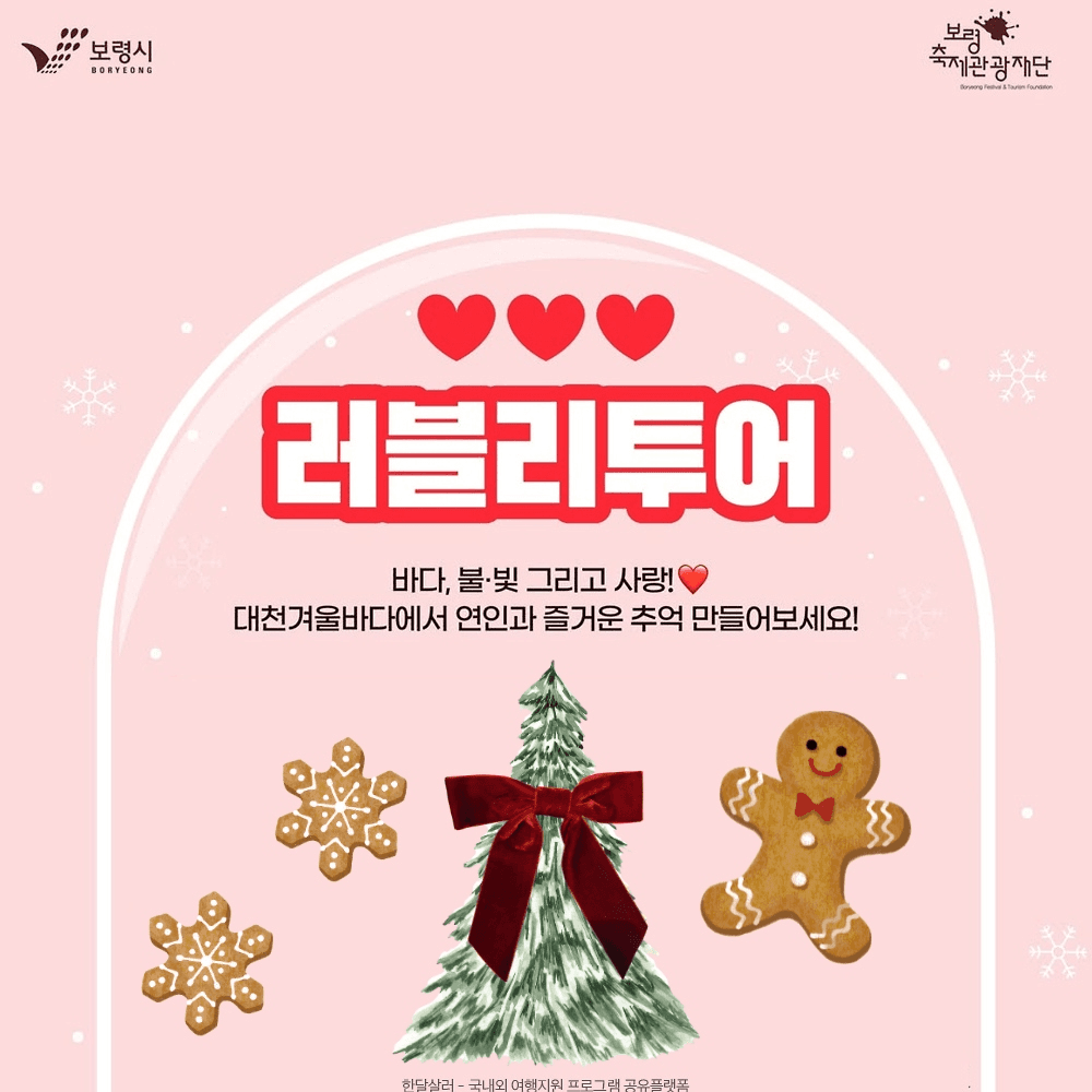 2025 보령 대천겨울바다 사랑축제 러블리 투어 (선착순 - 조기 모집종료)-썸네일-0