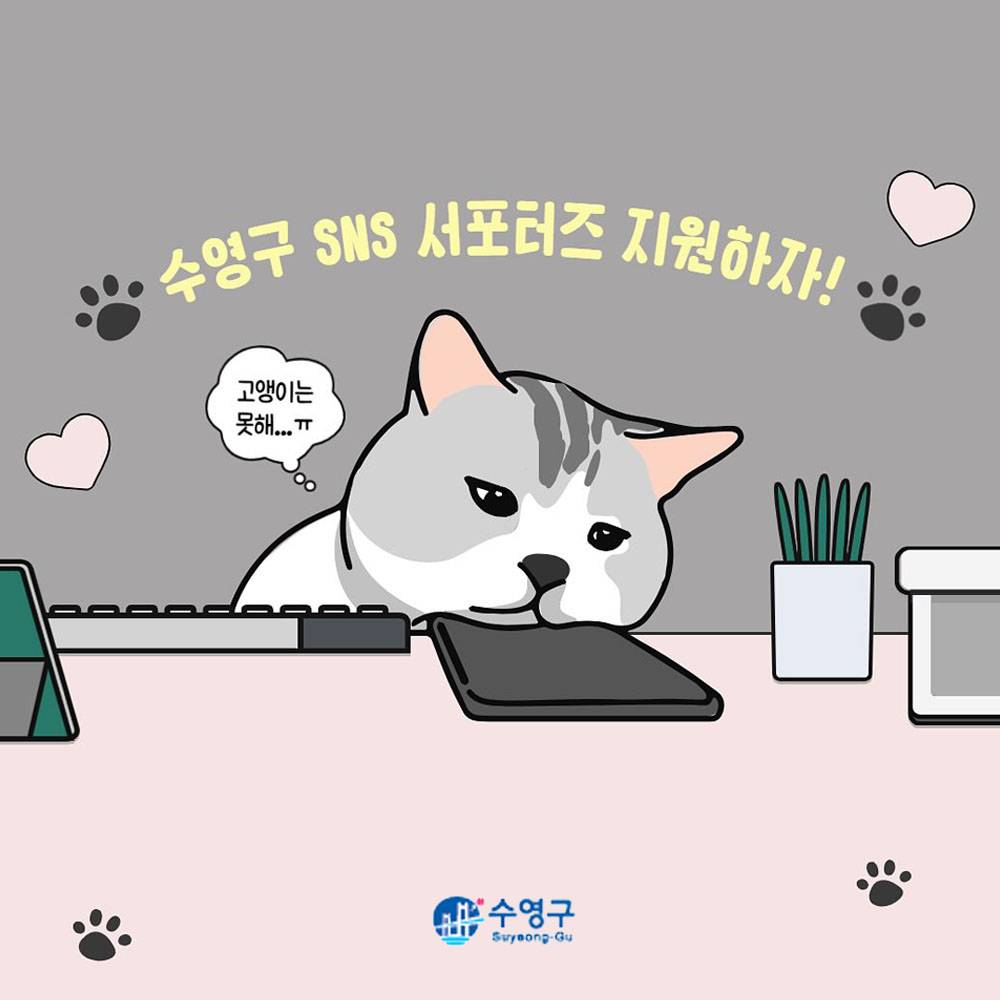 부산 수영구 SNS 서포터즈 11기 모집-썸네일-0