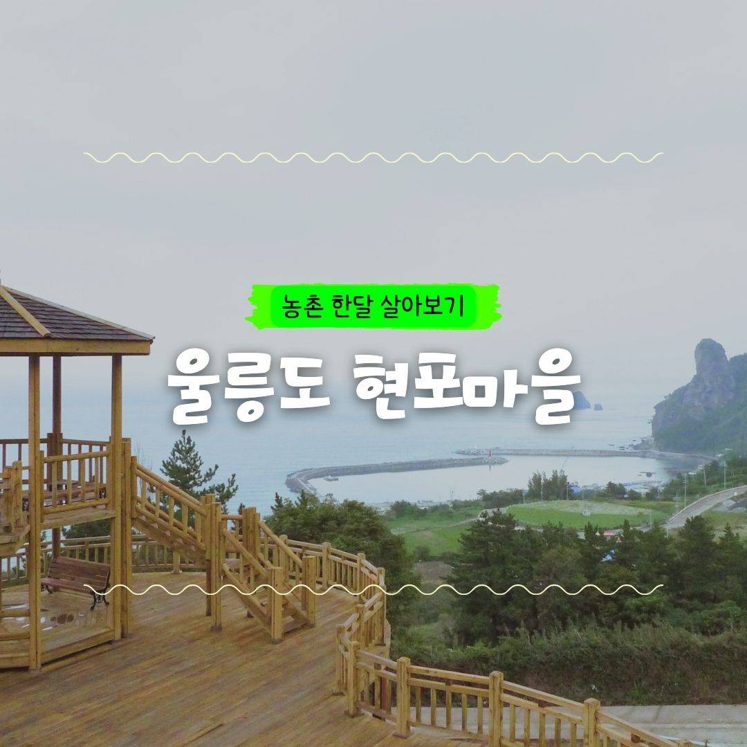 울릉 현포마을 살아보기 1기 (농촌살아보기)-썸네일-0
