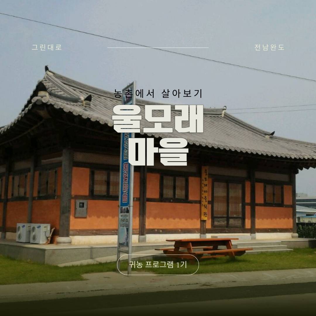 완도 울모래마을 살아보기 1기 (농촌살아보기)-썸네일-0