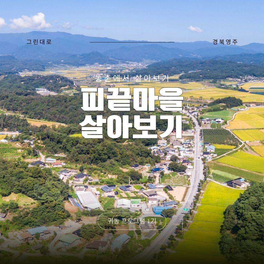 영주 피끝마을 살아보기 1기 (농촌살아보기)-썸네일-0