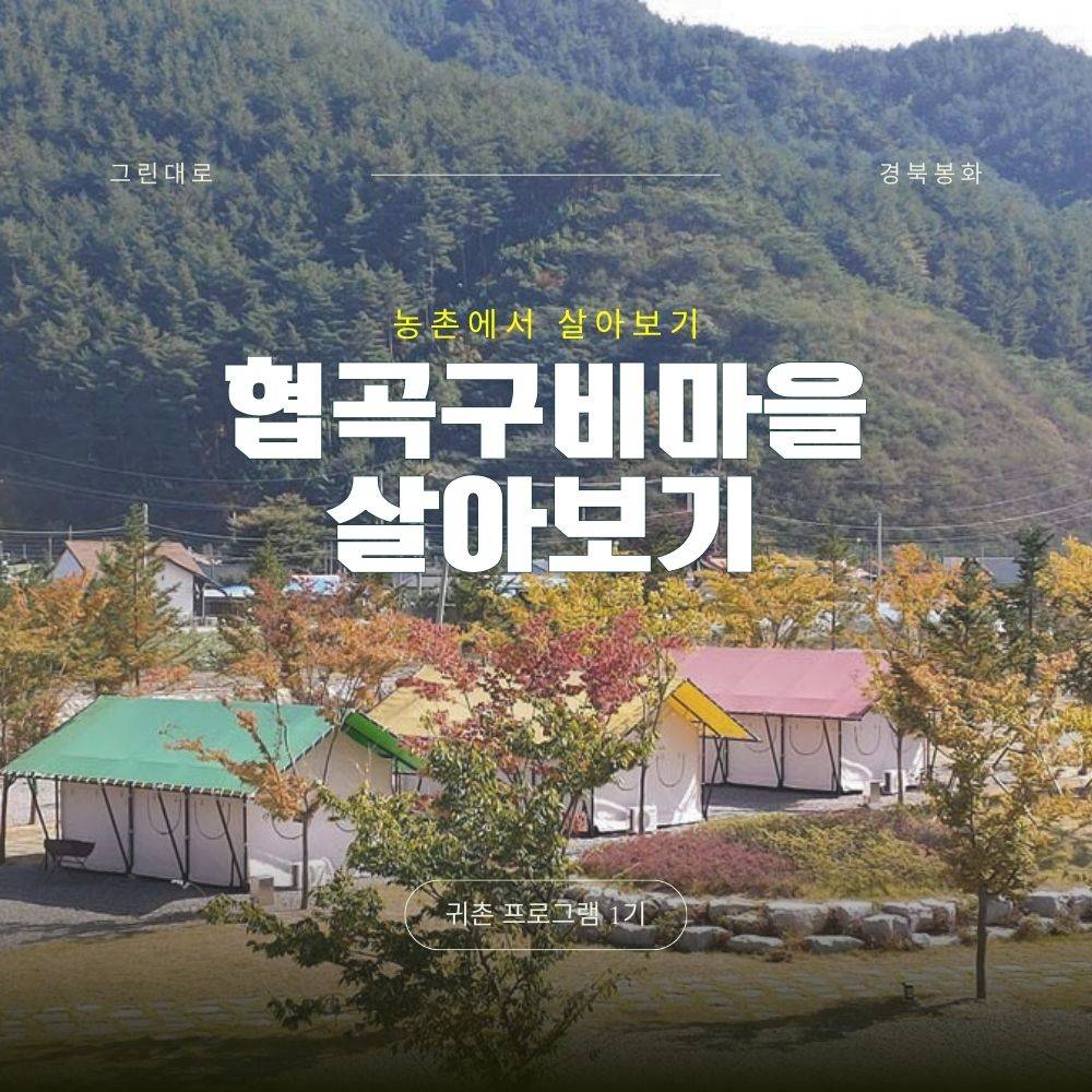 봉화 협곡구비마을 살아보기 1기 (농촌살아보기)-썸네일-0