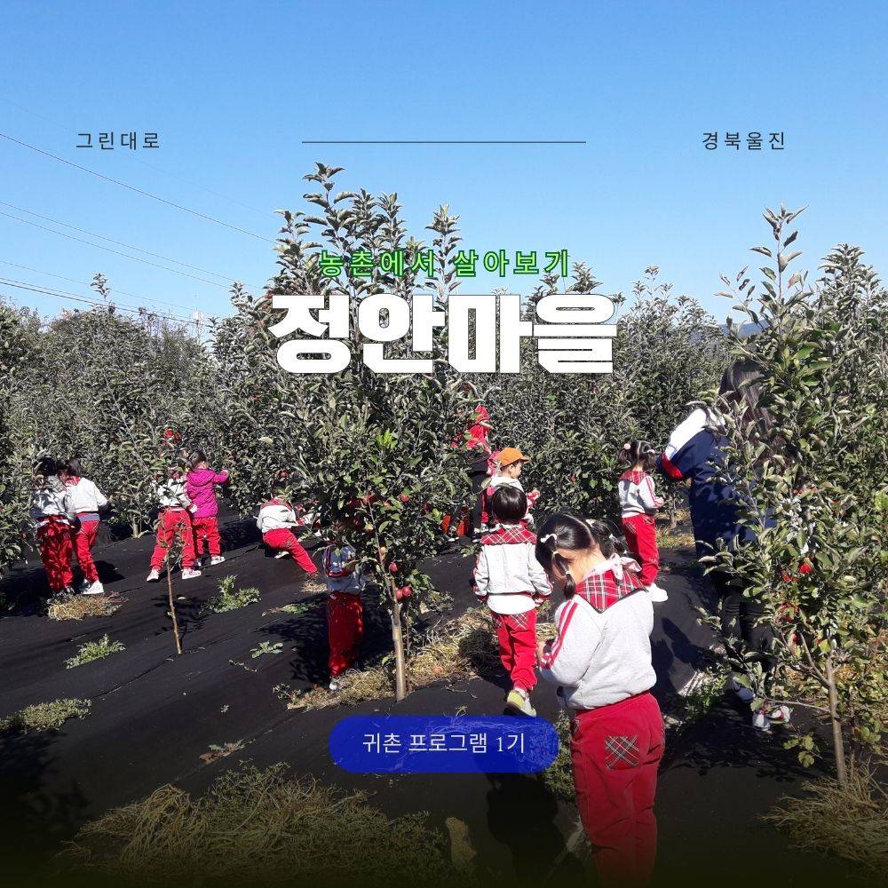 증평 정안마을 살아보기 1기 (농촌살아보기)-썸네일-0