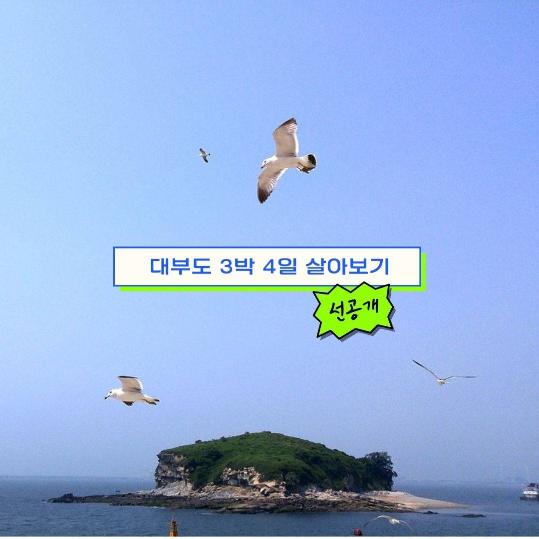 (🔥선공개) 안산 대부도에서 3박4일 살아보기 참가자 모집-썸네일-0