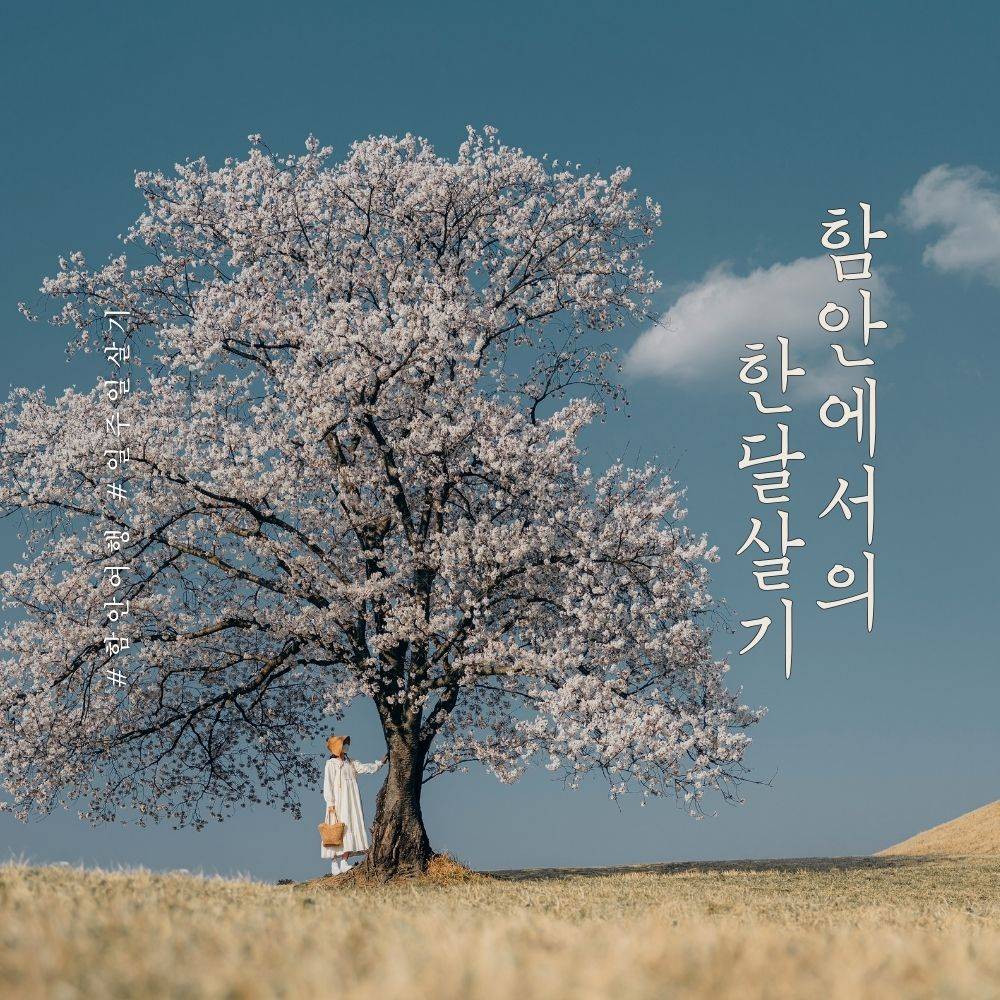 함안에서 한 달 살기 1차 모집 (경남 한달살기)-썸네일-0