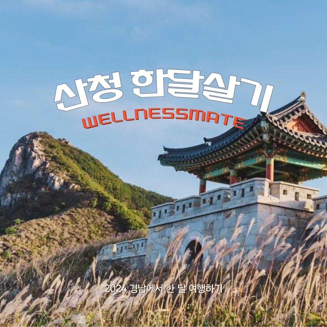 (선착순) wellnessmate, 산청 한달여행하기 1차 수시모집 (경남 한달살기)-썸네일-0