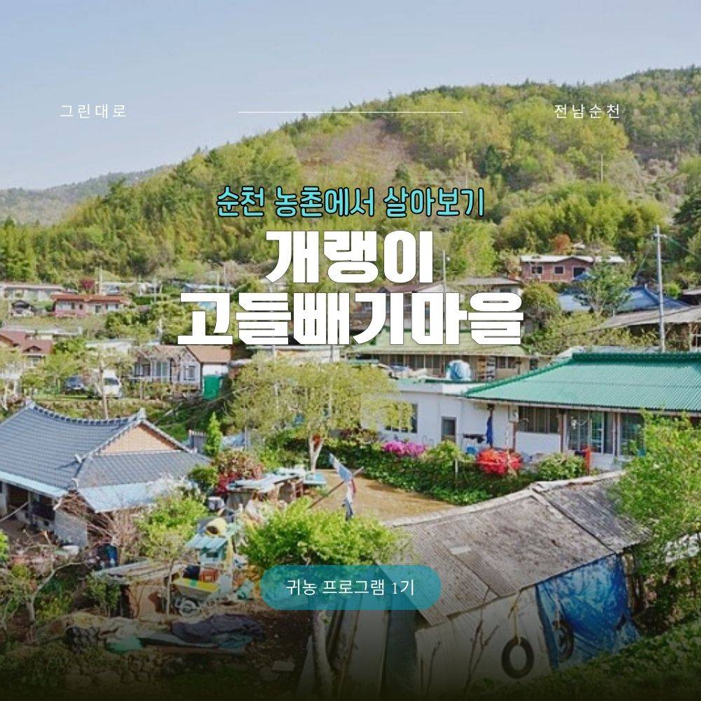 순천 개랭이고들빼기마을 살아보기 1기 (농촌살아보기)-썸네일-0