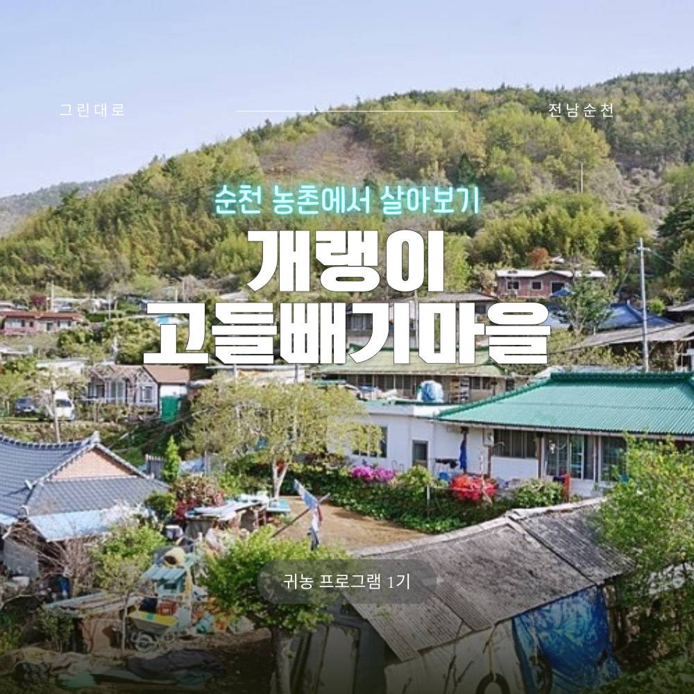 순천 개랭이고들빼기마을 살아보기 1기 (농촌살아보기)-썸네일-0