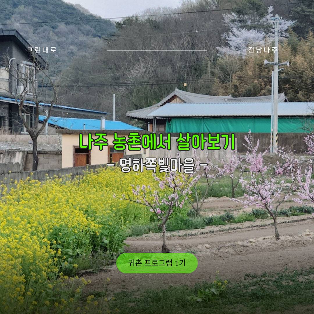 나주 명하쪽빛마을 살아보기 1기 (농촌살아보기)-썸네일-0