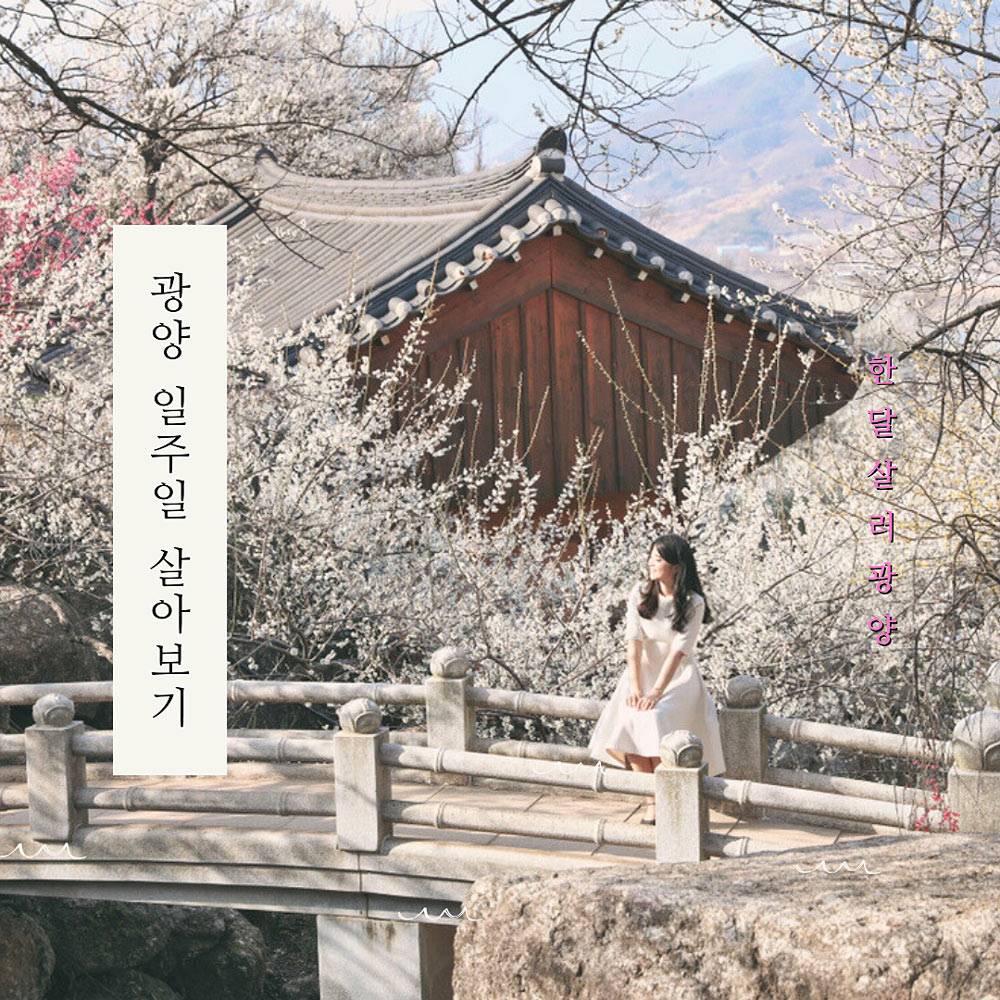 광양 일주일살기 (남도에서 한 달 여행하기)-썸네일-0