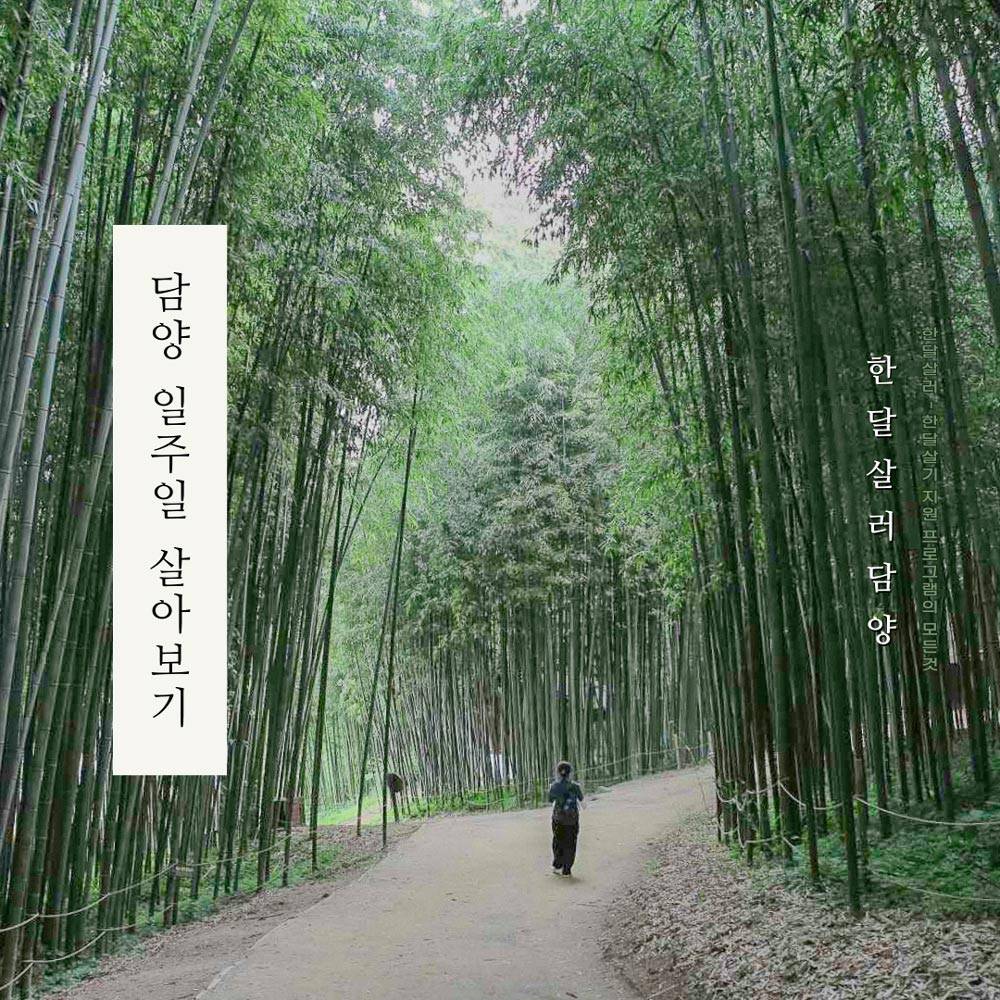 담양에서 일주일 여행하기 (남도 한달살기)-썸네일-0
