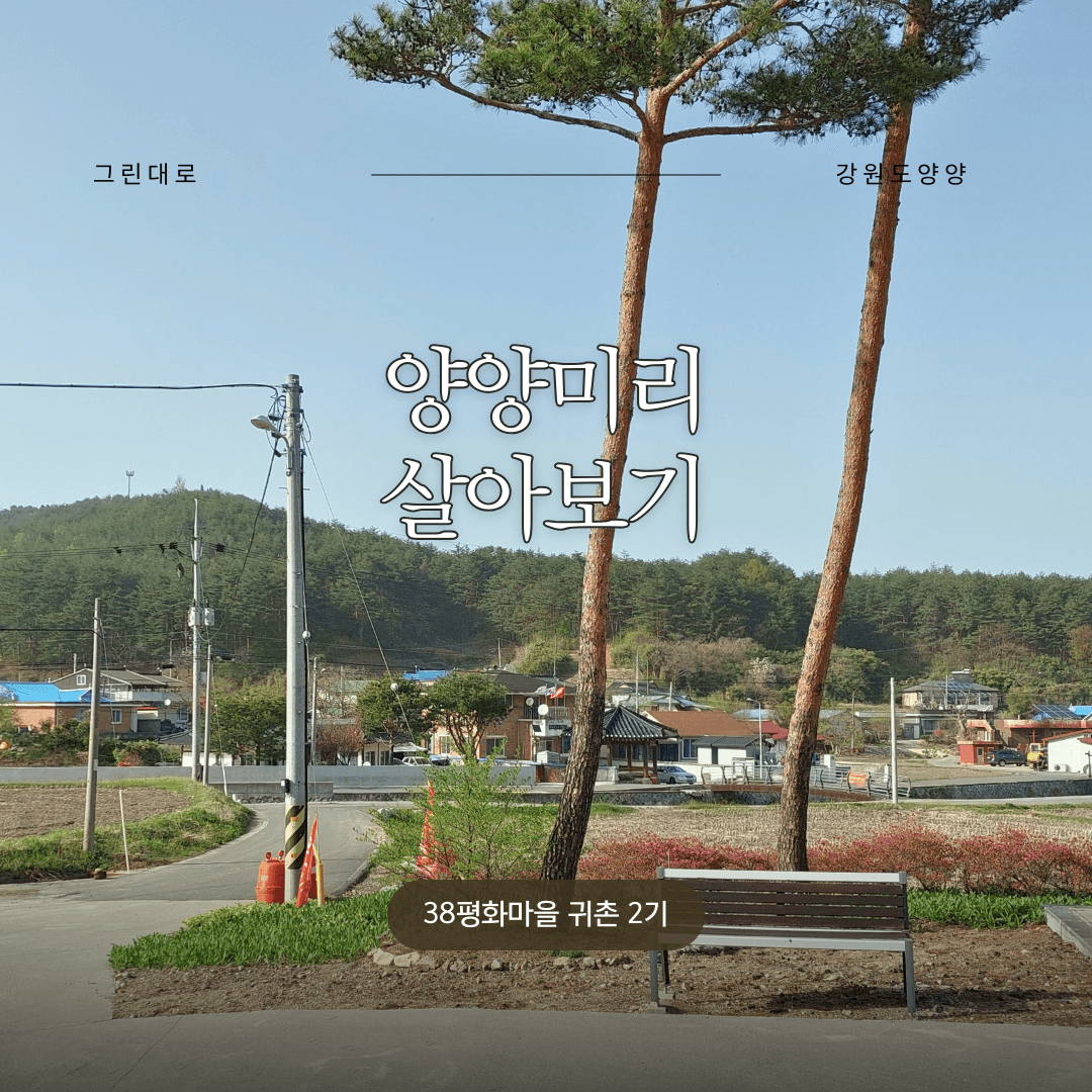양양 38평화마을 살아보기 2기 (농촌살아보기)-썸네일-0
