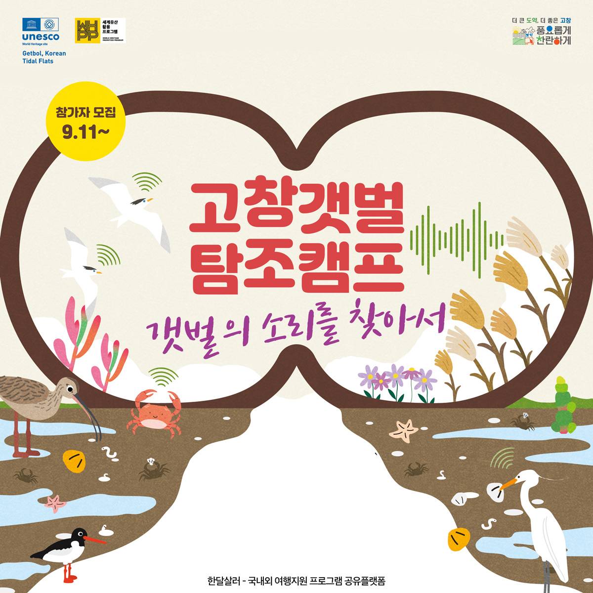 (선착순-조기모집종료되었습니다) 고창갯벌 탐조캠프 - 갯벌의 소리를 찾아서 2차-썸네일-0