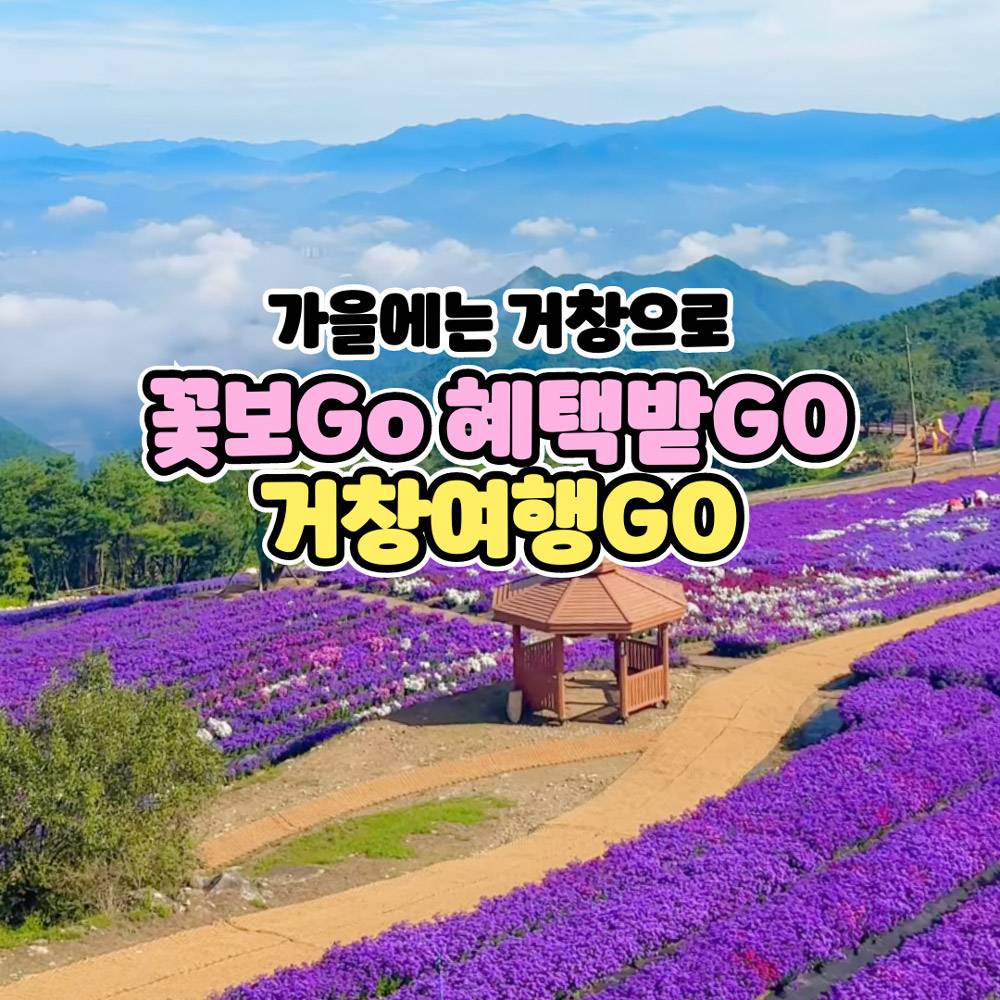 가을에는 거창으로 - 꽃보GO, 혜택받GO, 거창여행하GO 참가자 모집 (숙박 식음료 50% 지원, 선착순 - 조기 모집종료되었습니다))-썸네일-0