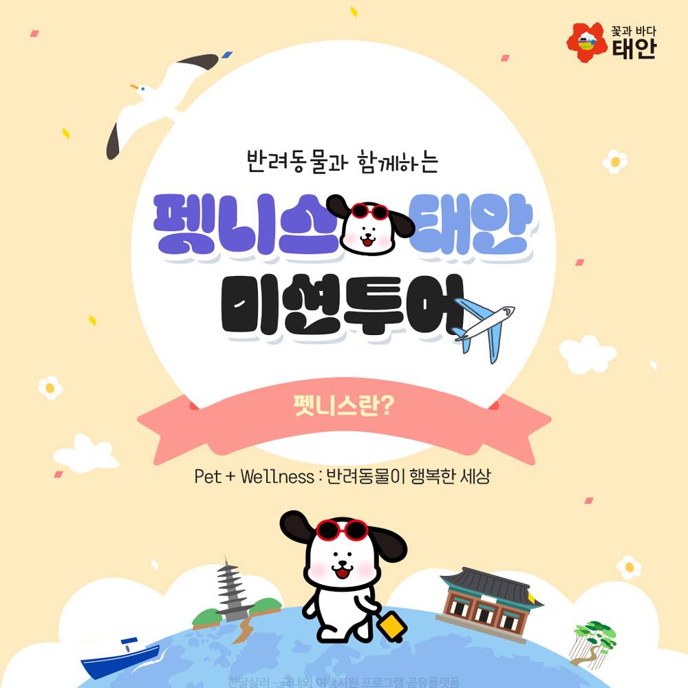 (선착순 - 조기 모집종료되었습니다) 반려동물과 함께하는 펫니스 태안 미션투어-썸네일-0