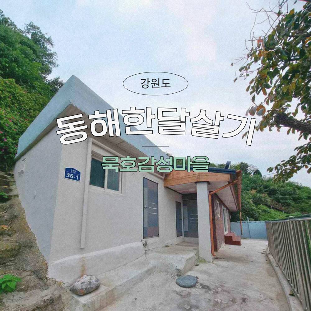 동해 묵호감성마을 한달살기 (12월)-썸네일-0
