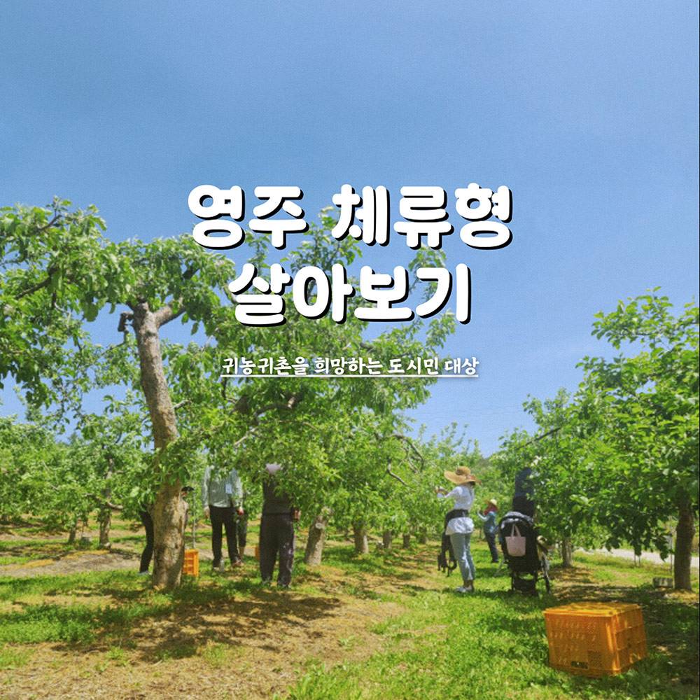 2025 영주시 체류형 농업창업지원센터 교육생 모집-썸네일-0
