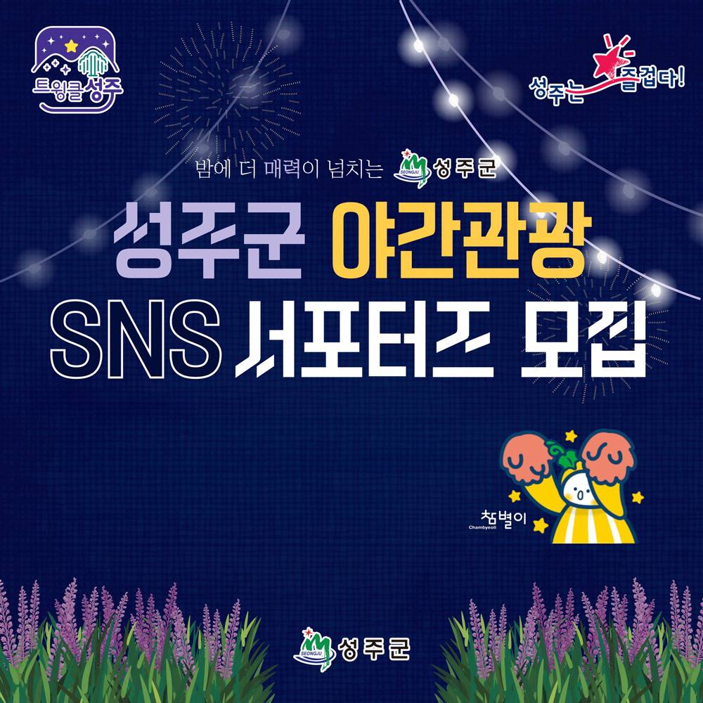 성주군 야간관광 SNS 홍보 서포터즈 1기 모집-썸네일-0