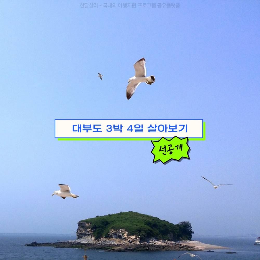 2025 안산 대부도에서 3박 4일 살아보기 참가자 모집-썸네일-0