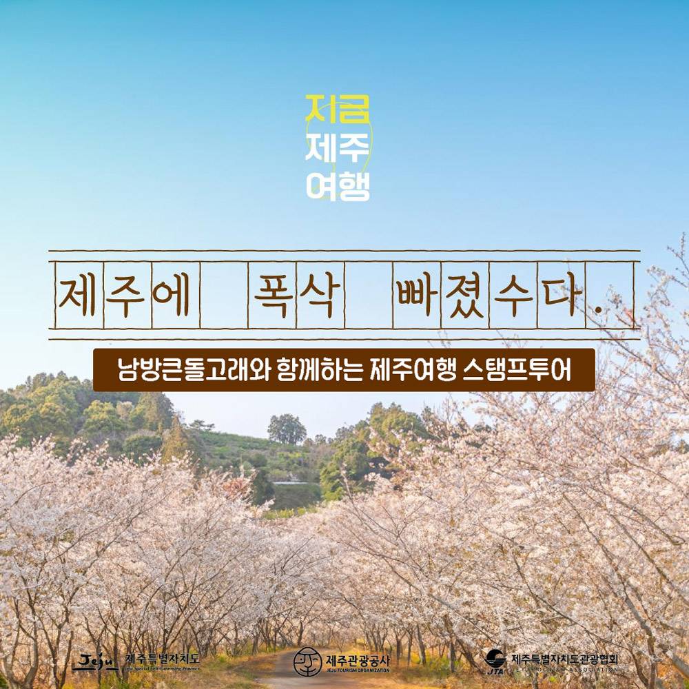 남방큰돌고래와 함께하는 제주여행 스탬프 투어-썸네일-0