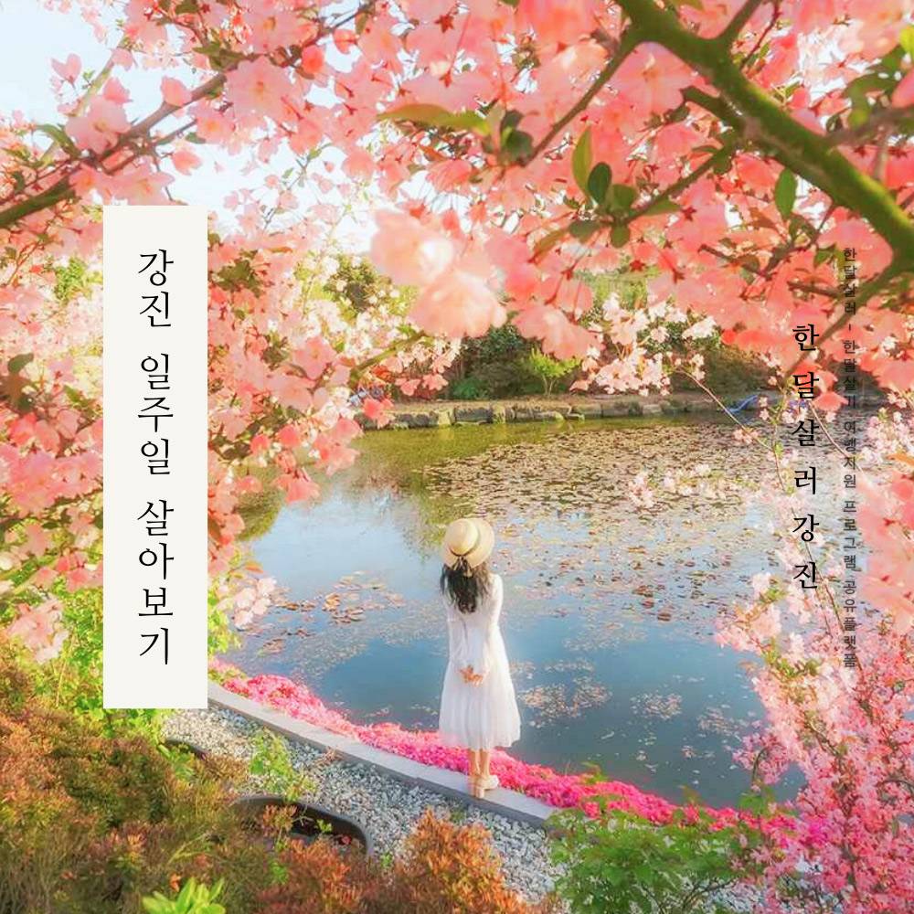  2025 강진 일주일~한달살기 (남도에서 한 달 여행하기) -썸네일-0