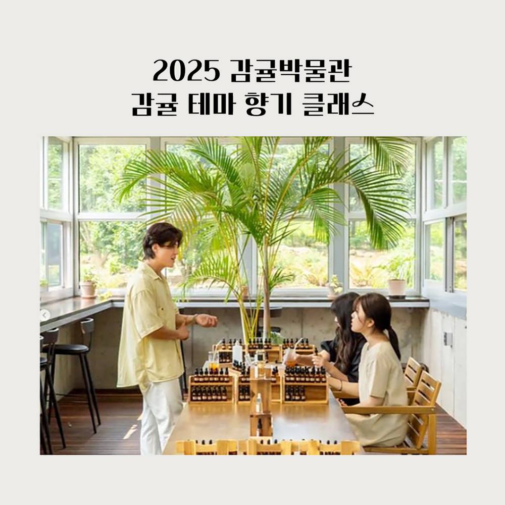 2025 제주 감귤박물관 감귤 테마 향기 클래스 <귤꽃 향기를 담다>-썸네일-0