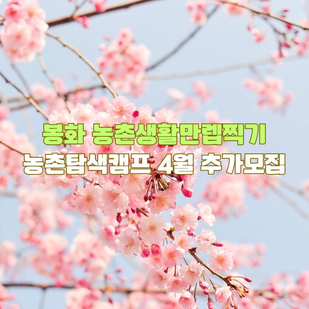 봉화 농촌생활만렙찍기 농촌탐색캠프 4월 추가모집-썸네일-0
