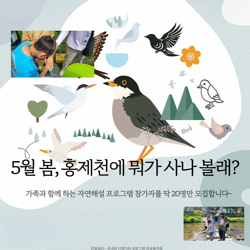 서울 가족과 함께! 홍제천에 뭐가 사나 볼래? 자연해설 프로그램 참가자 모집 (선착순-조기 모집종료)-썸네일-0