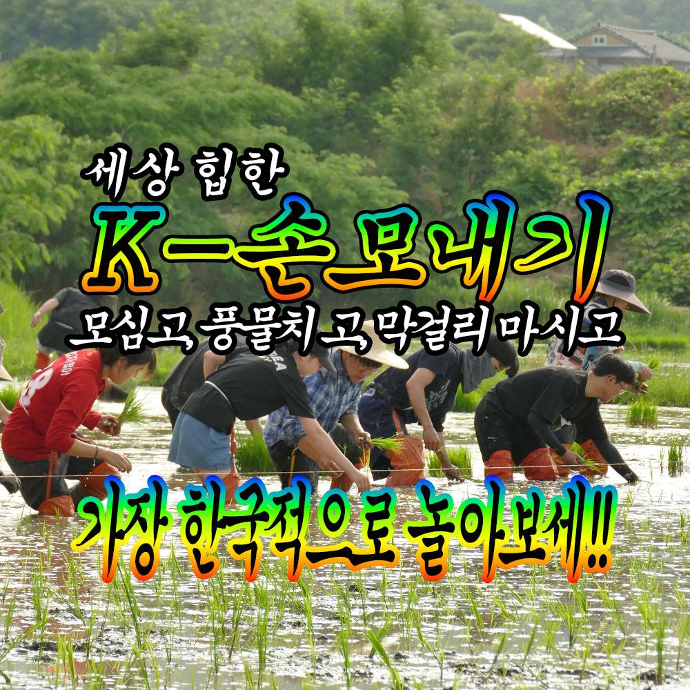 부안 K-손모내기 1박2일 체험 : 가장 한국적으로 일하고, 놀고, 먹기 (선착순 - 조기 모집종료)-썸네일-0