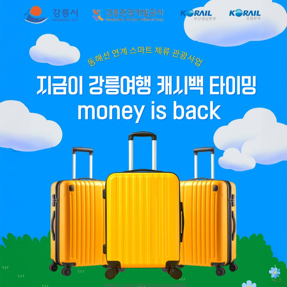 지금이 강릉 캐시백 타이밍! MONEY IS BACK! 인센티브 프로그램-썸네일-0