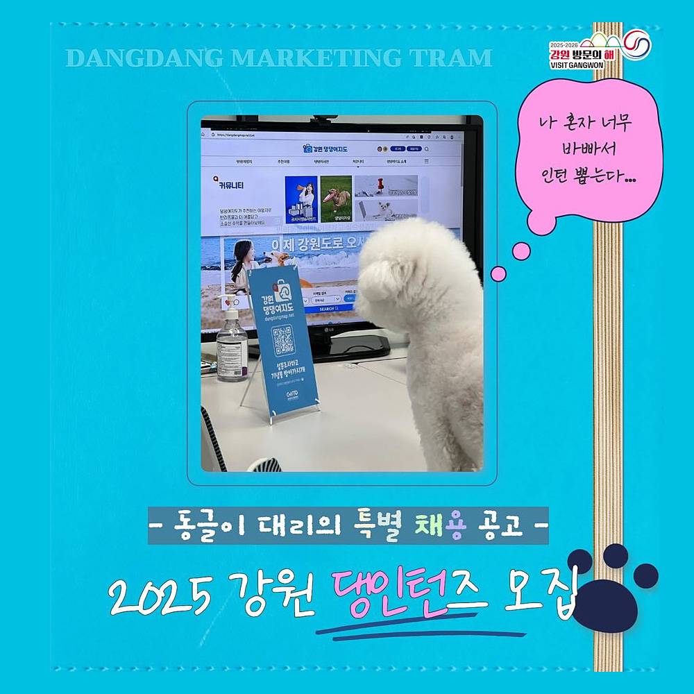 2025 강원 댕인턴즈 모집-썸네일-0