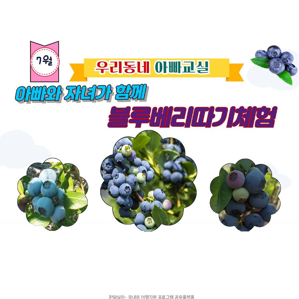 봉화 아빠와 자녀가 함께 블루베리따기 체험-썸네일-0