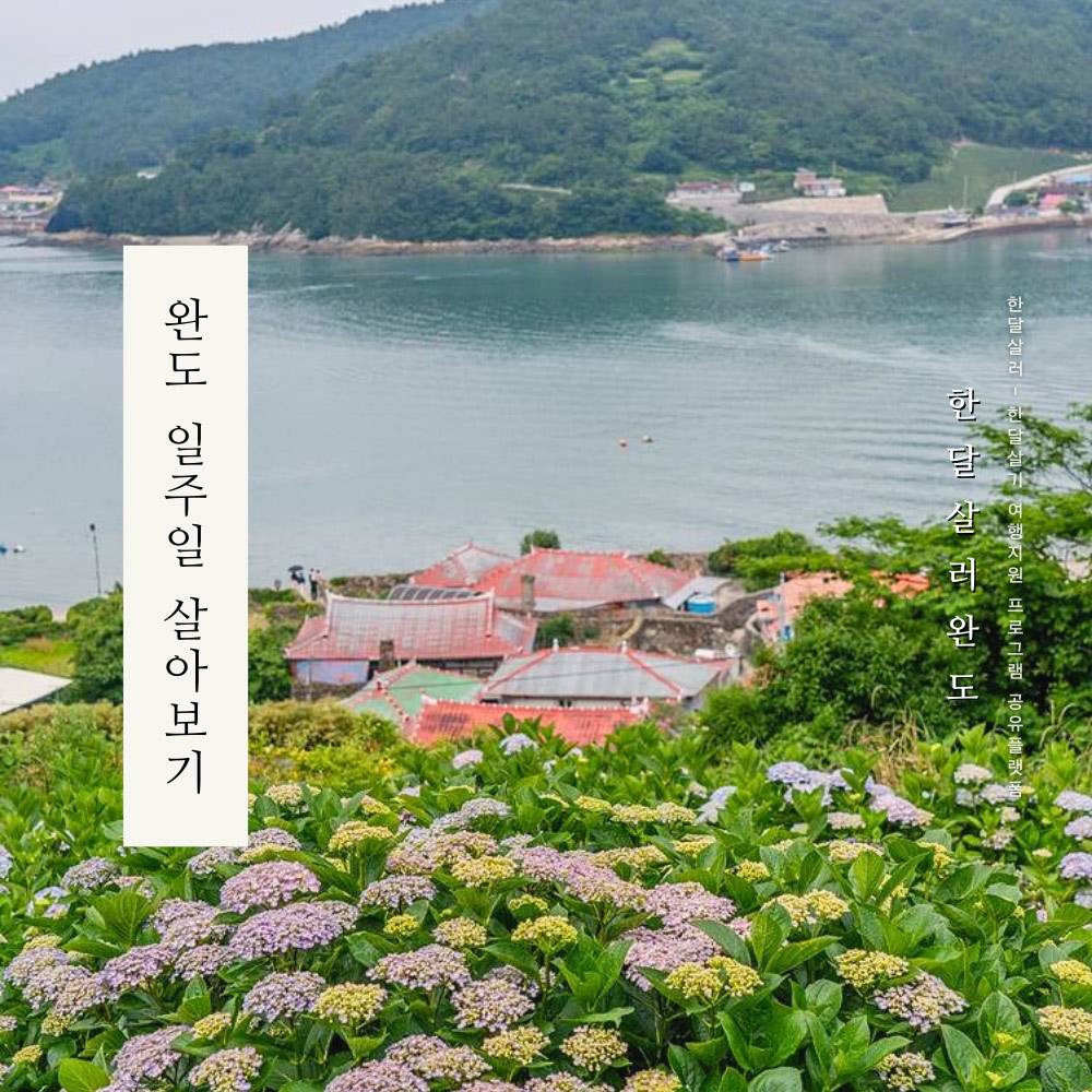 완도에서 한 달 여행하기 2차 참가자 모집 (남도 일주일살기 2025)-썸네일-0