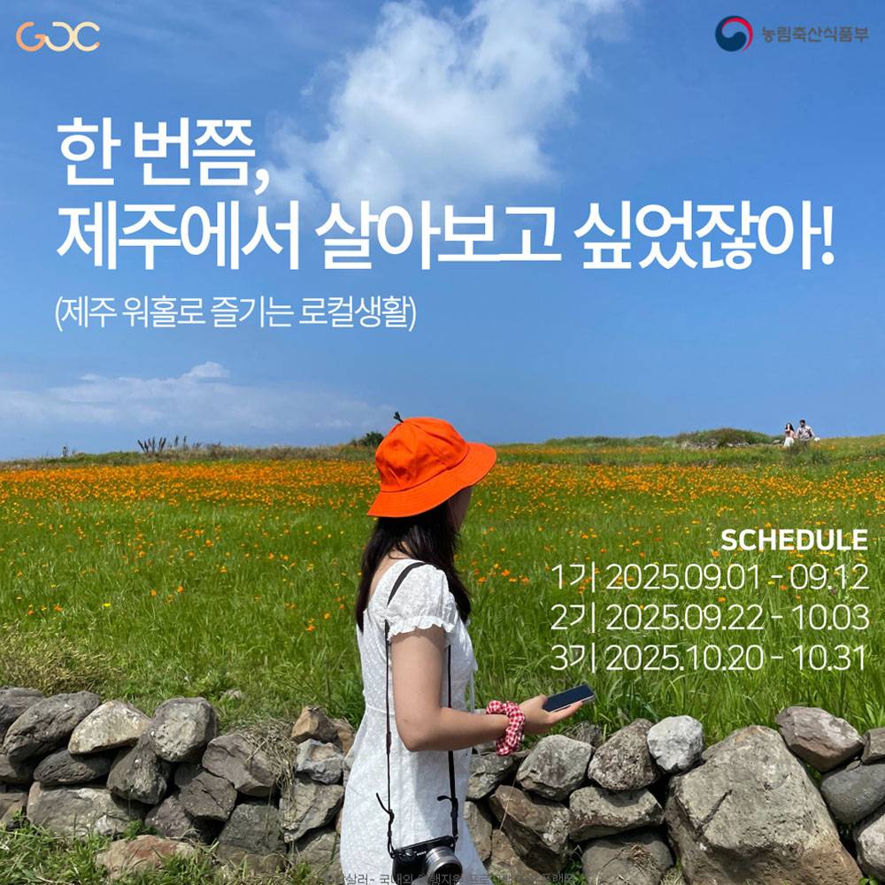 2025년 제주 워홀로 즐기는 로컬생활 1~3기 모집-썸네일-0