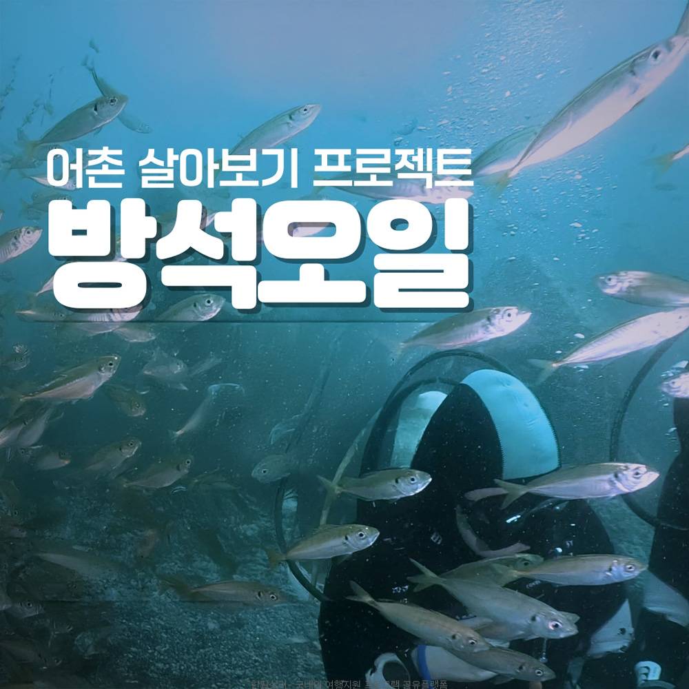 스쿠버다이빙을 하며 어촌마을 4박5일 살아보기 - 영덕, 포항-썸네일-0
