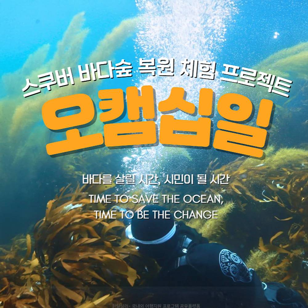 영덕 울진 어촌 살아보기 : 스쿠버 바다숲 복원 프로젝트-썸네일-0