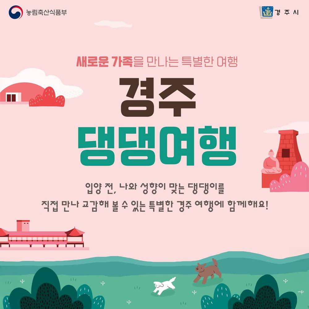 경주 댕댕여행, 새로운 가족을 만나는 특별한 여행-썸네일-0