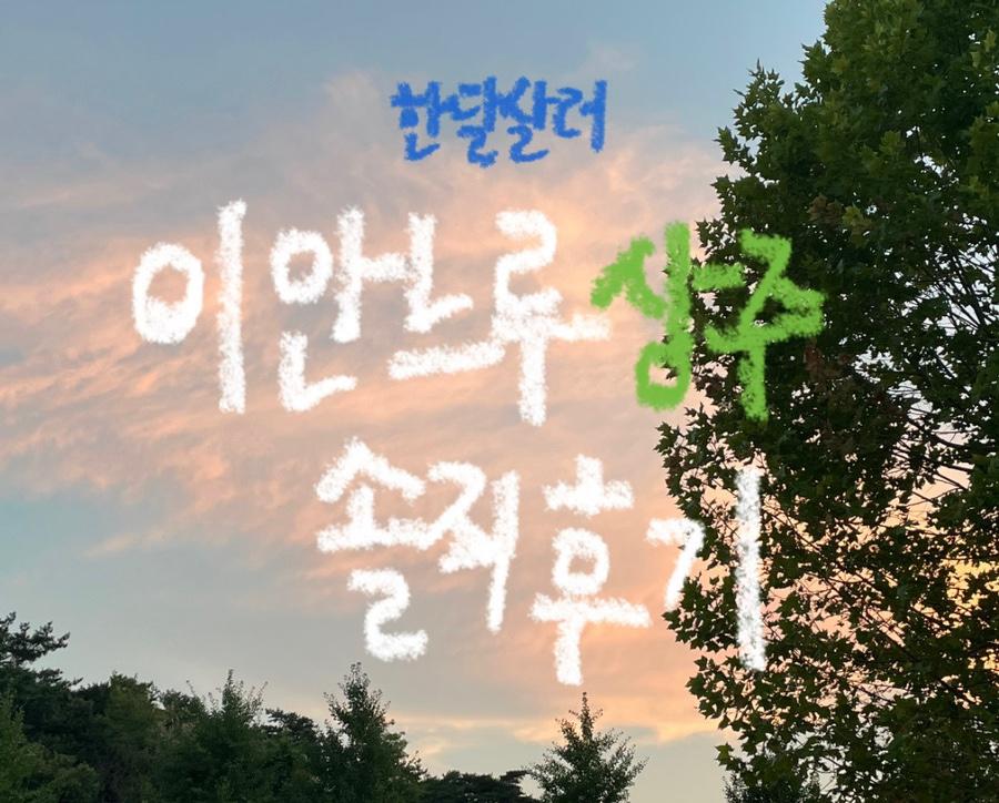한달살러로 신청한 경북 상주시 이안느루 3일차 최종 후기