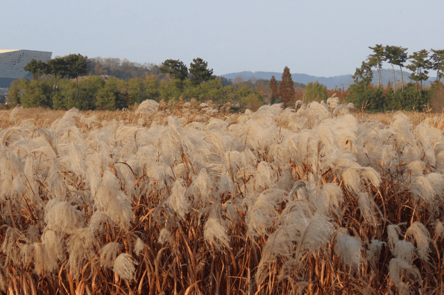 서천갯벌 세계유산캠프 다녀왔어요!-2