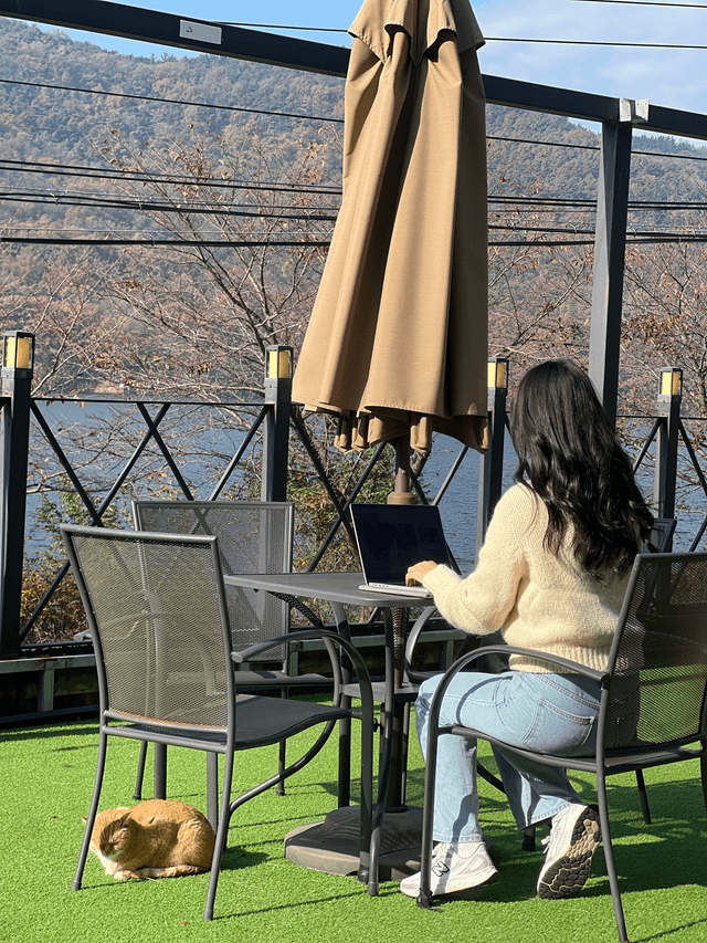 대굴대굴 대구온나 대구SNS홍보단 참여후기-2