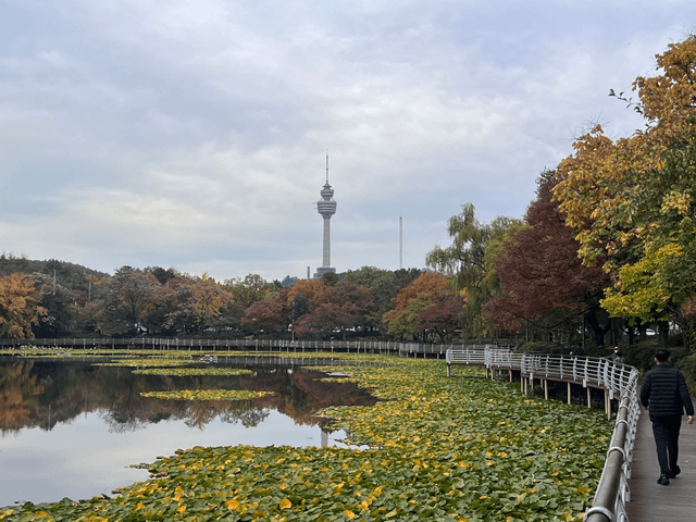 대굴대굴 대구온나 대구SNS홍보단 참여후기-4