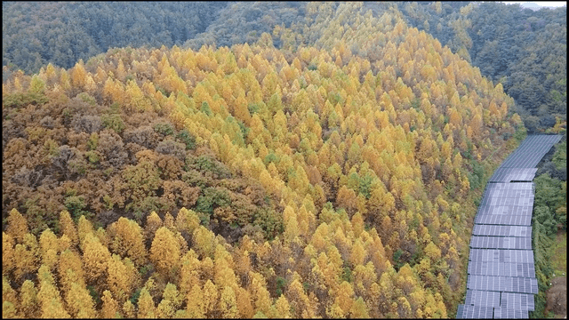 일주일 살기 즐거웠어요-0