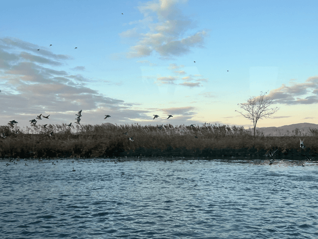 순천치유여행 / 순천 해양생태관광 2박3일 후기-6