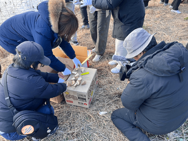 순천치유여행 / 순천 해양생태관광 2박3일 후기-11