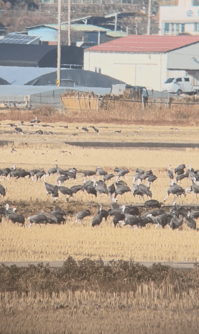 순천치유여행 / 순천 해양생태관광 2박3일 후기-15