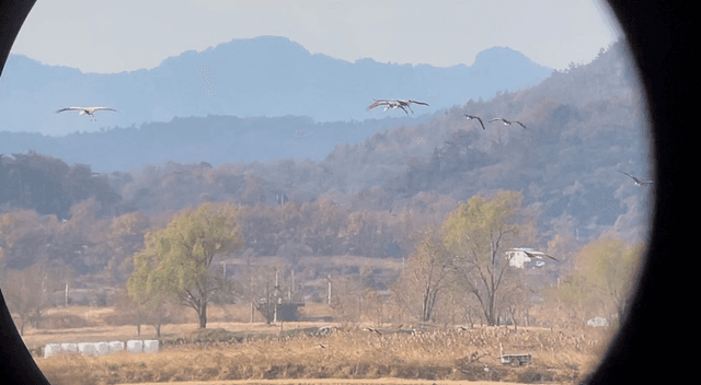 순천치유여행 / 순천 해양생태관광 2박3일 후기-16