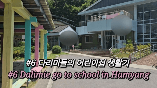 [함양 한달살기] #6 다리미들의 어린이집 생활기 세 자매의 한국 여름방학 | 함양 어린이집 이야기 20240622-0